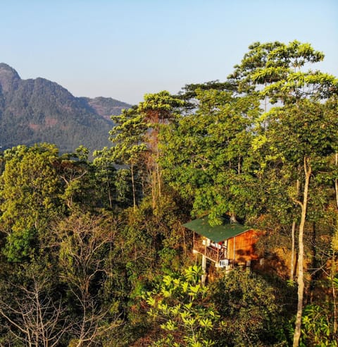 Bird's eye view, Mountain view, Sunrise