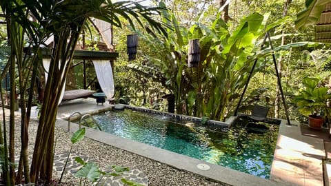 Pool view, Swimming pool, Swimming pool
