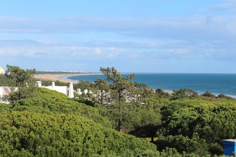 Natural landscape, Beach, Sea view