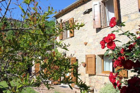 Garden, Decorative detail