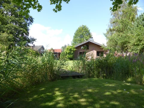 Natural landscape, Garden, On site