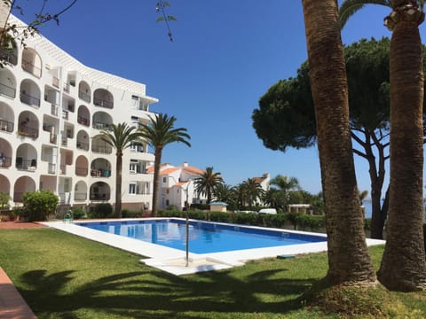 Property building, Garden, Swimming pool, Swimming pool