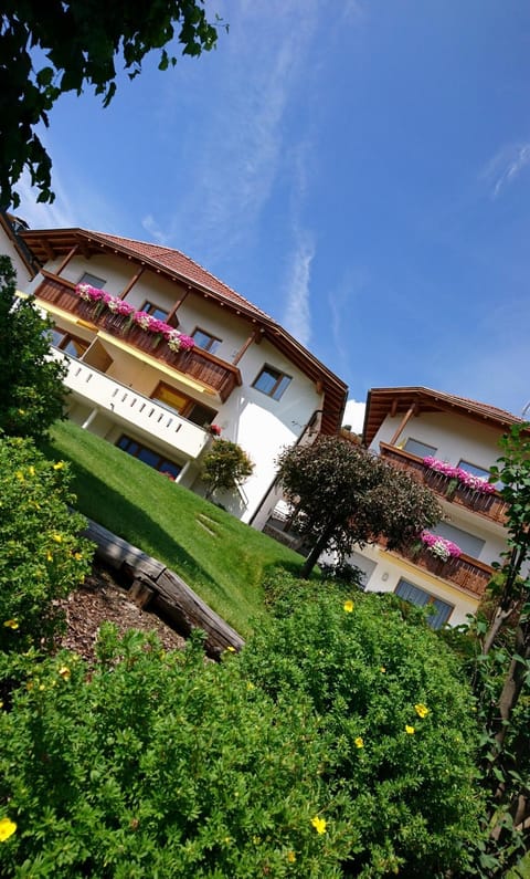 Summer, Garden, On site