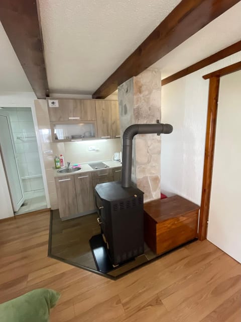 Zabljak studio apartment 1 Apartment in Montenegro