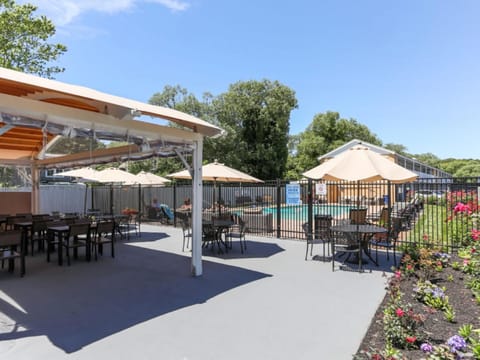 Swimming pool, Swimming pool