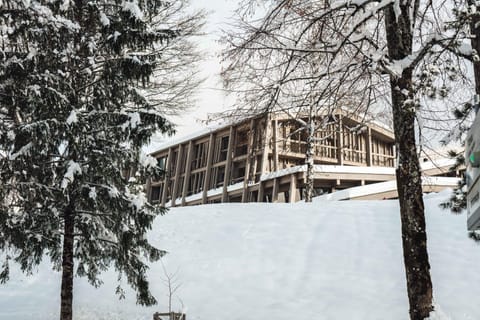 Property building, Winter