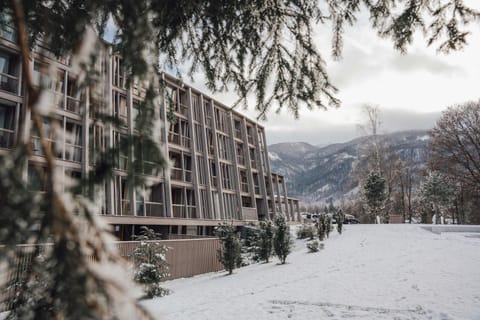 Property building, Winter