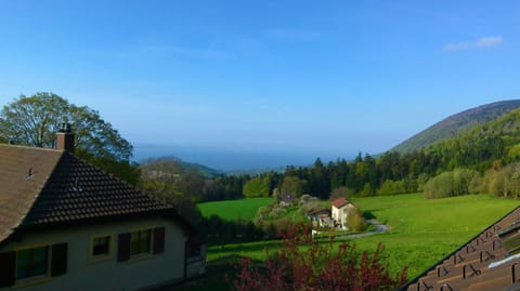 Lake view