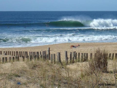 Activities, Beach
