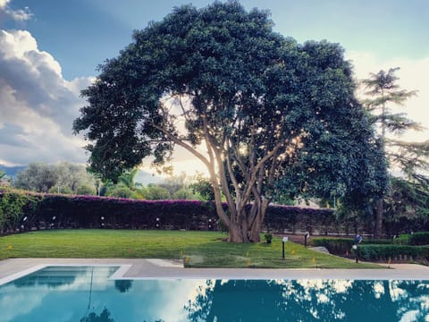 Patio, Garden, Garden view, Pool view