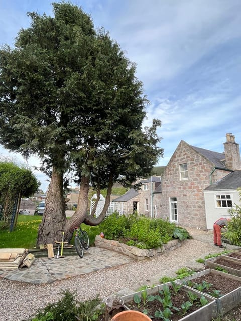 Property building, Garden, Garden view