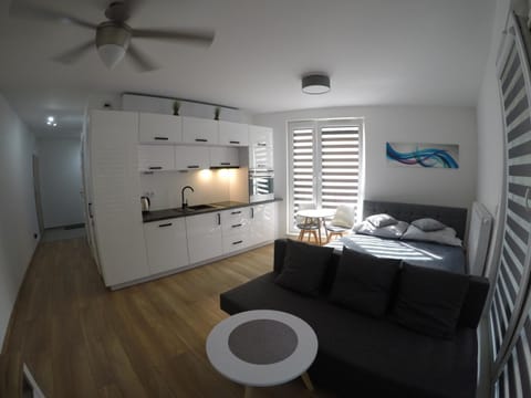 Bed, Kitchen or kitchenette, Photo of the whole room