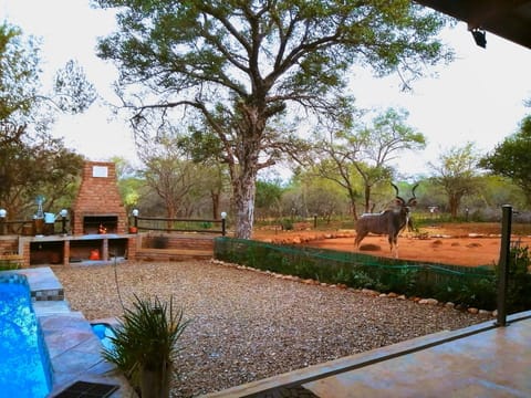 Property building, View (from property/room)