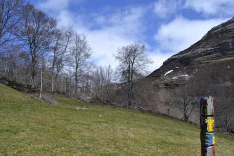 Natural landscape