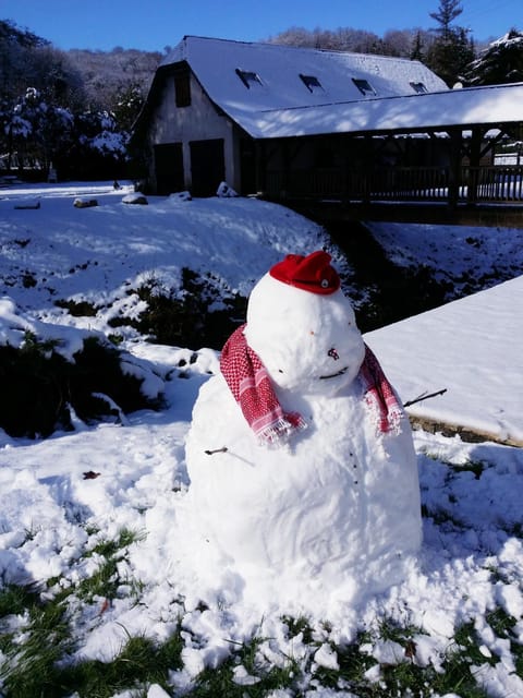 Winter