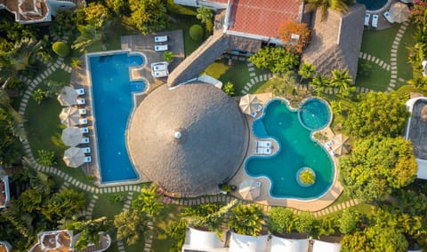 Bird's eye view, Swimming pool, Swimming pool