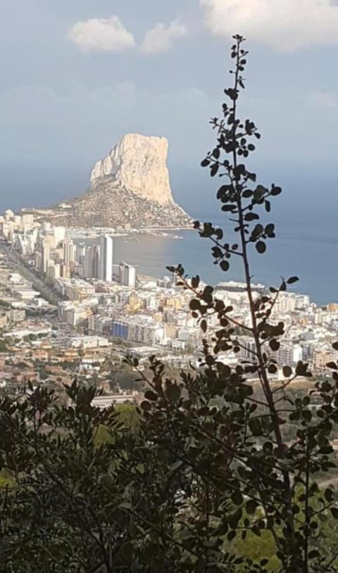 Nearby landmark, Natural landscape