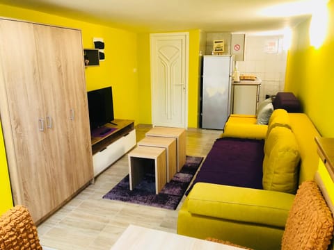 Vila Mistik Apartment hotel in Zlatibor