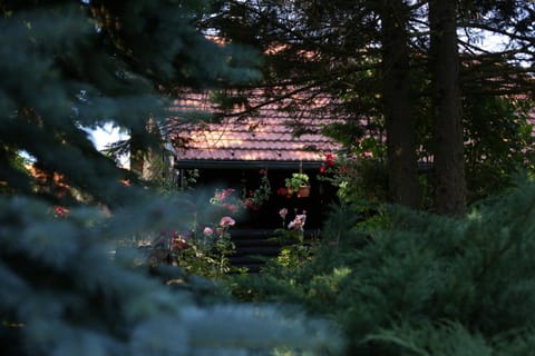Natural landscape, Garden