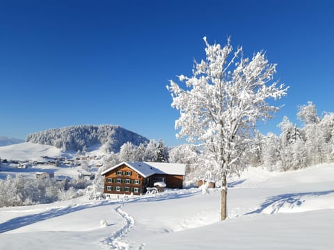 Winter, View (from property/room), Location