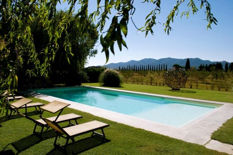 Natural landscape, Garden, Swimming pool, sunbed