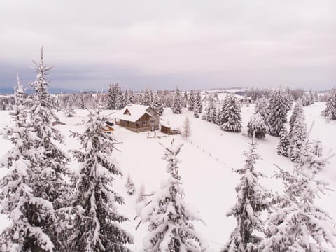 Natural landscape, Winter