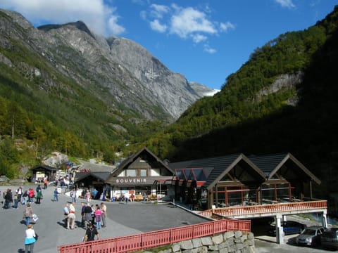 Area and facilities