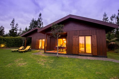 Night, Area and facilities