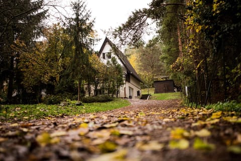 Property building, Garden, Garden view
