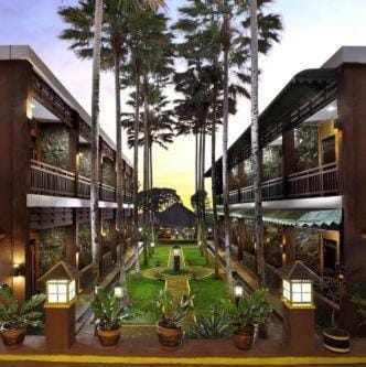 Garden view