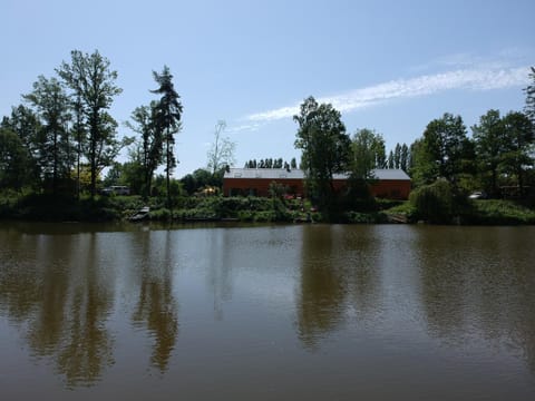 Lake view