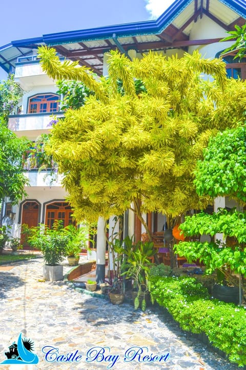 Facade/entrance, Garden, Decorative detail