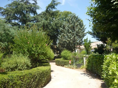Natural landscape, Decorative detail, Quiet street view