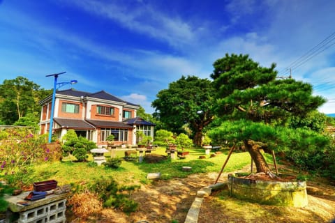 Property building, Garden view