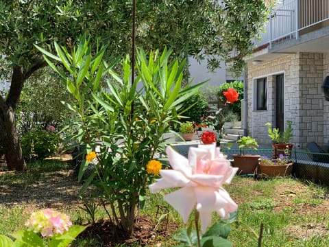 Apartment Bilić Bed and Breakfast in Pula