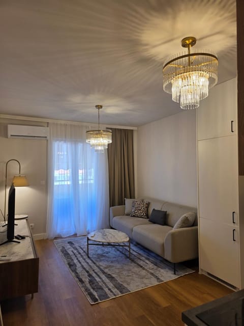 Living room, Photo of the whole room