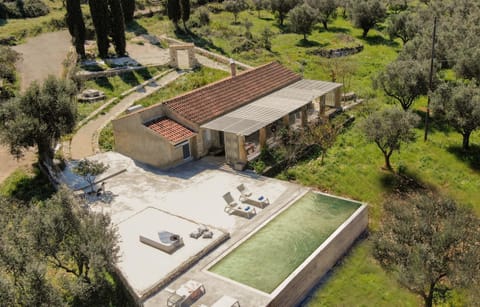Patio, Spring, Garden, Garden view, Swimming pool