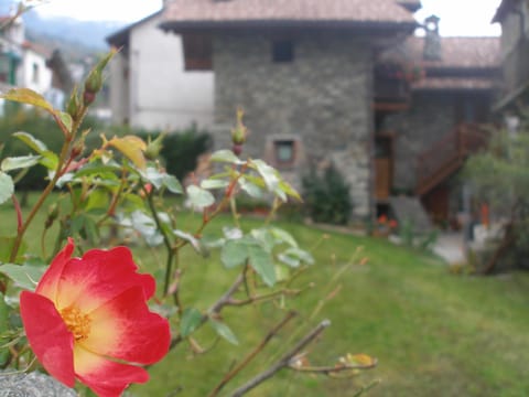 Spring, Garden