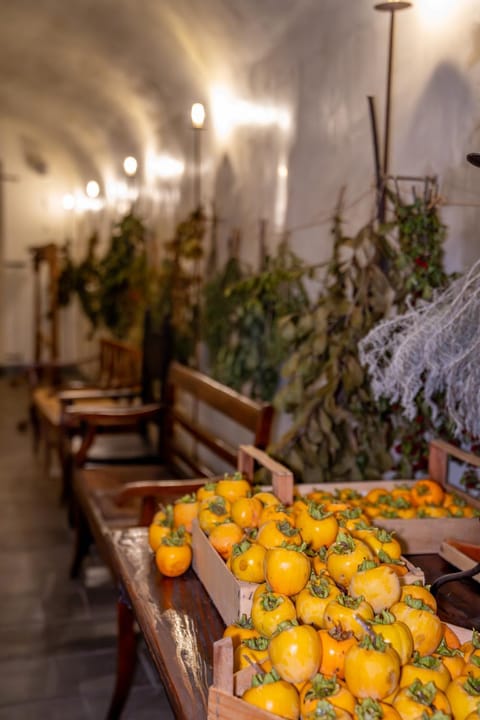 Cappuccini Resort Resort in Province of Brescia