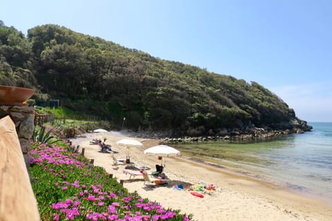Natural landscape, Summer, Beach