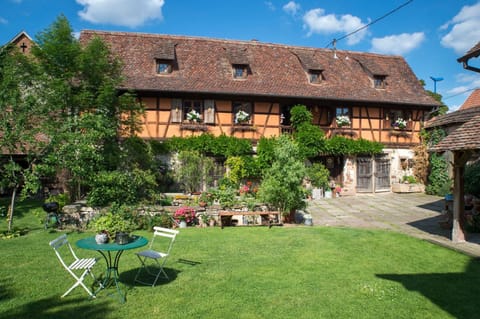 Property building, Patio, Spring, Day, Garden, Garden view