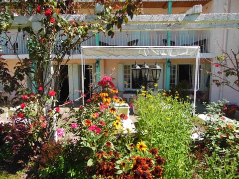 Spring, Garden