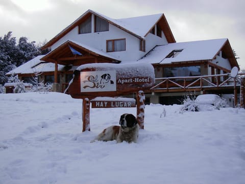 Day, Property logo or sign, Winter, Pets