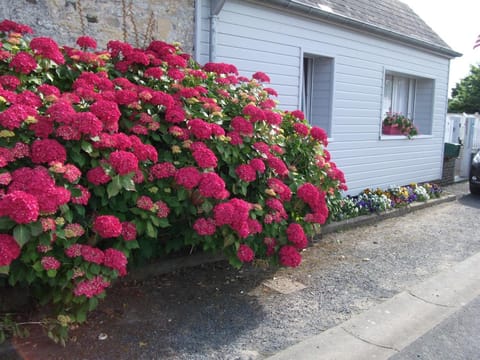 Les Hortensias 26 Apartment in Normandy