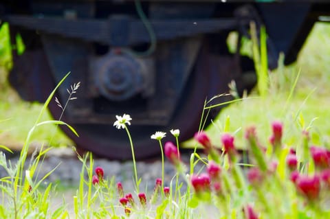 Urlaubsbahnhof-Schlafwagen House in Mecklenburg-Vorpommern, Germany