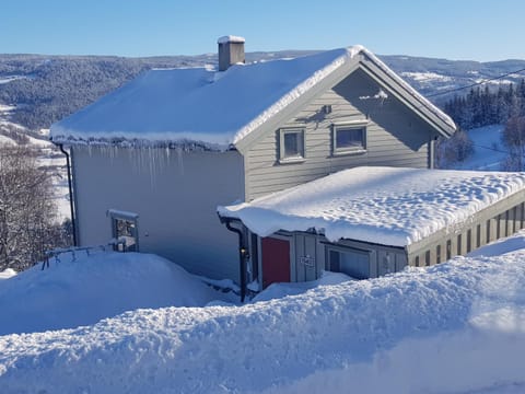 Facade/entrance, Day, Winter, On site