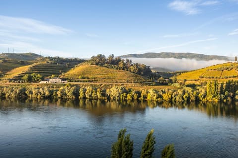 River view