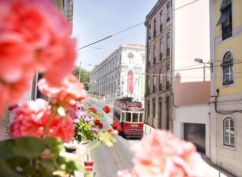 Day, Street view