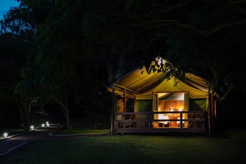 Night, Natural landscape, Garden