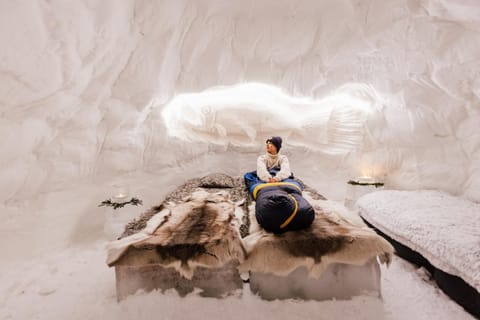 Lucky Ranch Snow Igloos Apartment in Rovaniemi